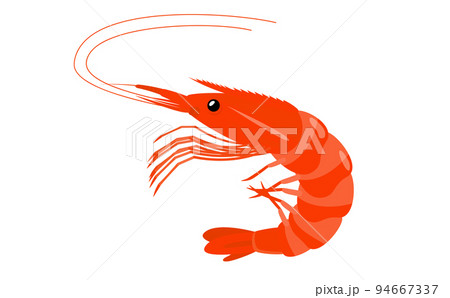 立体感のある美味しそうな赤い海老 ベクターイラスト素材 立体感のある美味しそうな赤い海老 ベクターイラスト素材 94667337