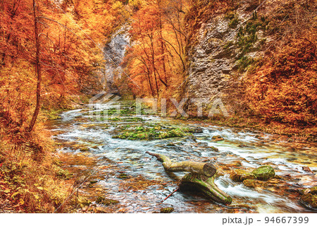Vintgar gorge, Slovenia 94667399