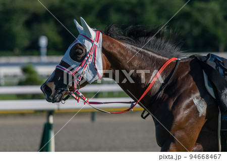 競馬 94668467