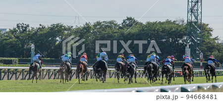 競馬 競馬 94668481