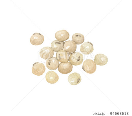 大豆　ダイズ 94668618