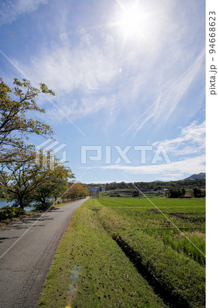 秋の空 丹波篠山川沿いの道 田園風景 9月下旬 秋の空 丹波篠山川沿いの道 田園風景 9月下旬 94668623