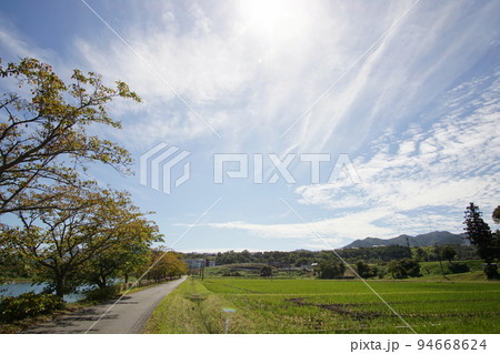 秋の空 丹波篠山川沿いの道 田園風景 9月下旬 秋の空 丹波篠山川沿いの道 田園風景 9月下旬 94668624