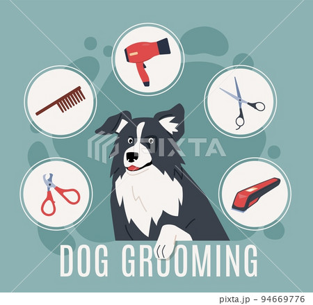 Pet grooming poster. Advertising banner with cute long haired dog, hygiene and hairdressing accessories, animal care, professional beauty for puppy, nowaday vector cartoon flat concept 94669776
