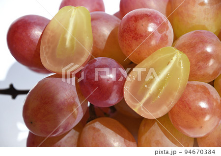 ぶどう　コトピー 94670384