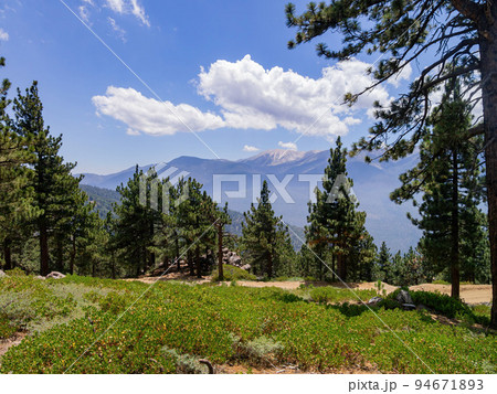 Sunny view of the landscape in Big bear lake area 94671893
