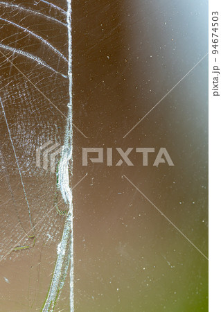 Strip of tape adhesive on a glass surface after being pulled.  Strip of tape adhesive on a glass surface after being pulled.  94674503