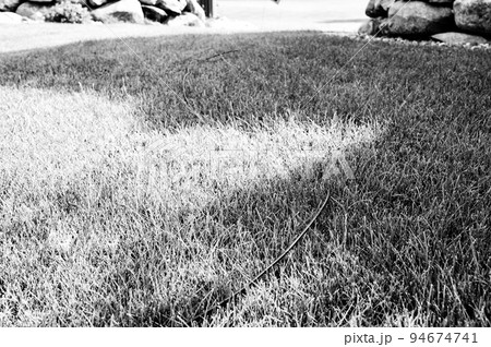 Fiber optic cable laying in the grass ready to be installed at a residential house. Fiber optic cable laying in the grass ready to be installed at a residential house. 94674741