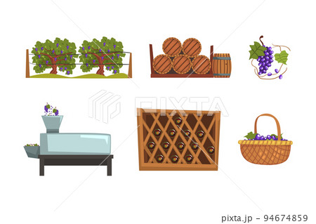 Wine production process. Grape harvesting, crushing, pressing, fermenting, aging cartoon vector illustration 94674859