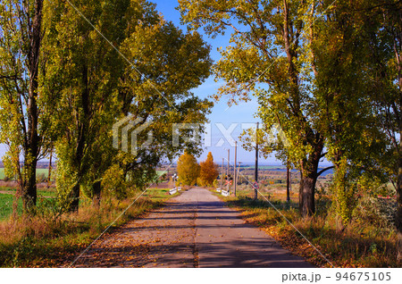Rural road on an autumn day. Autumn road through a rural field landscape Rural road on an autumn day. Autumn road through a rural field landscape 94675105