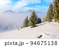 mountain landscape on a foggy sunrise. beautiful winter scenery with spruce trees on a snow covered hill 94675138