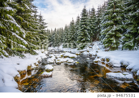 Jizerka river in winter time Jizerka river in winter time 94675531
