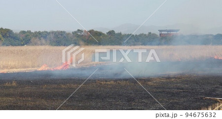 炎が鎮火し煙がくすぶる草原に残る燃えカス 炎が鎮火し煙がくすぶる草原に残る燃えカス 94675632