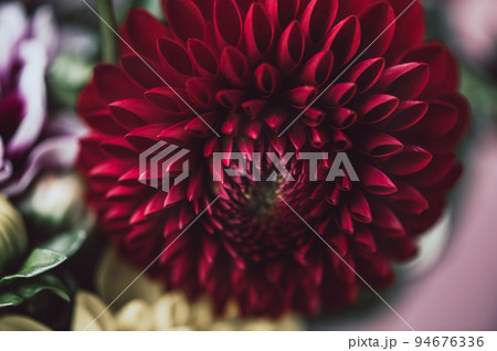 Bunch of dahlias 94676336