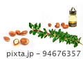 Cosmetic means: authentics oriental bottles with cosmetic oil, argan nuts and green leaves of argania spinosa tree on isolated background.  94676357