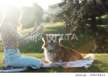 beautiful corgi dog and girl 94678832