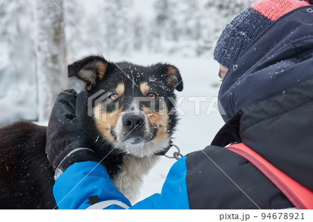 Cute dog playful in the snow 94678921