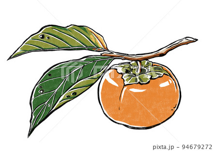 枝葉の付いた柿の実 版画風 枝葉の付いた柿の実 版画風 94679272
