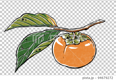 枝葉の付いた柿の実 版画風 枝葉の付いた柿の実 版画風 94679272