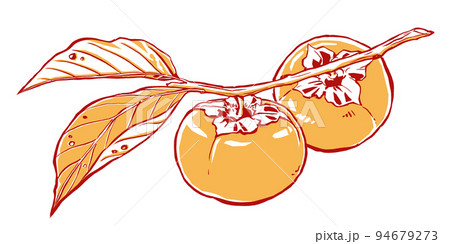 枝葉の付いた2つの柿の実　筆描き・2色塗り 94679273