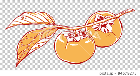 兩個柿子，枝葉用刷子畫，塗上兩種顏色 94679273