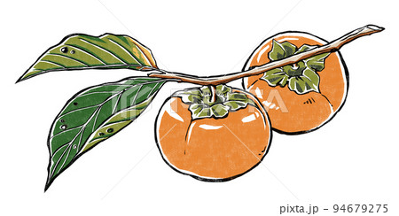 枝葉の付いた2つの柿の実　版画風 94679275