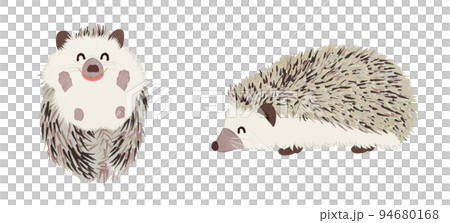 笑顔のかわいいハリネズミのイラストセット 94680168