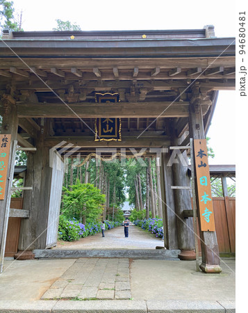 【千葉県香取郡】あじさいの名所 紫陽花寺 日本寺 【千葉県香取郡】あじさいの名所 紫陽花寺 日本寺 94680481