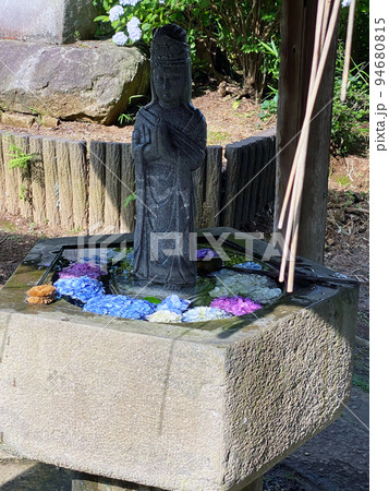 【千葉県香取郡】あじさいの名所 紫陽花寺 日本寺 身代わり観音 【千葉県香取郡】あじさいの名所 紫陽花寺 日本寺 身代わり観音 94680815