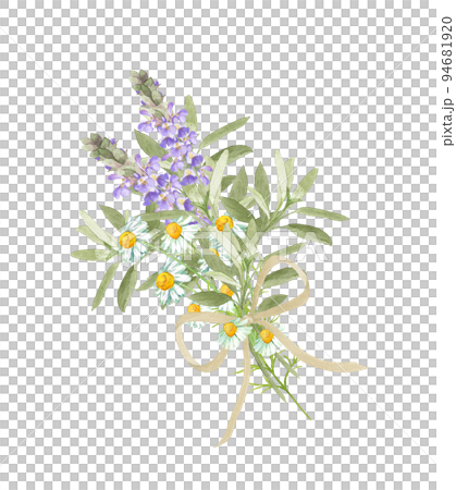 Bouquet of herbs painted by watercolor 94681920