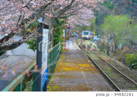 ソメイヨシノ咲く因美線三浦駅に入線する智頭行き普通列車1 岡山県津山市 ソメイヨシノ咲く因美線三浦駅に入線する智頭行き普通列車1 岡山県津山市 94682281