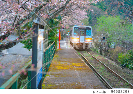 ソメイヨシノ咲く因美線三浦駅に停車する智頭行き普通列車1 岡山県津山市 ソメイヨシノ咲く因美線三浦駅に停車する智頭行き普通列車1 岡山県津山市 94682293