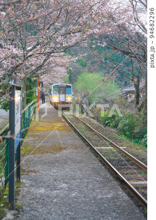 ソメイヨシノ咲く因美線三浦駅に停車する智頭行き普通列車2 岡山県津山市 ソメイヨシノ咲く因美線三浦駅に停車する智頭行き普通列車2 岡山県津山市 94682296