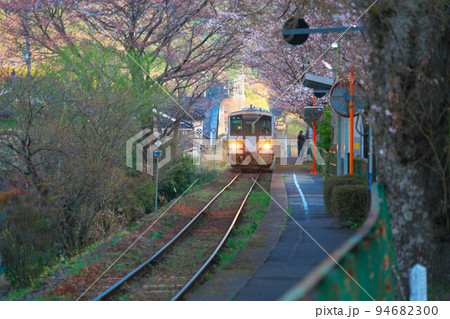 ソメイヨシノ咲く因美線三浦駅に入線する津山行き普通列車1 岡山県津山市 ソメイヨシノ咲く因美線三浦駅に入線する津山行き普通列車1 岡山県津山市 94682300