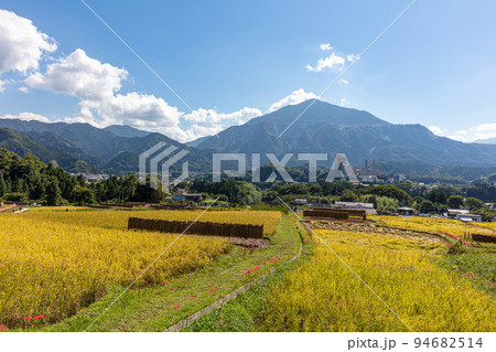 秋の寺坂棚田 94682514