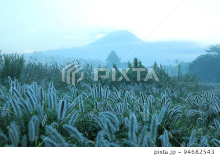 秋の自然イメー　朝霧高原の力芝　静岡県富士宮市朝霧高原 94682543
