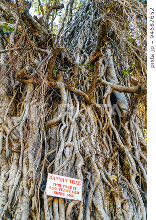 パンチャッキ　インド　オーランガバード 94682652