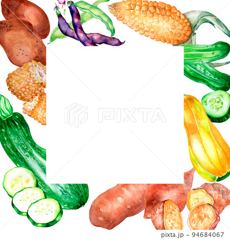 Variety of vegetables frame watercolor illustration isolated. Variety of vegetables frame watercolor illustration isolated. 94684067