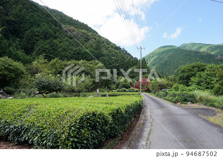 上佐野集落と茶畑(南部茶産地)【山梨県南部町】 上佐野集落と茶畑(南部茶産地)【山梨県南部町】 94687502