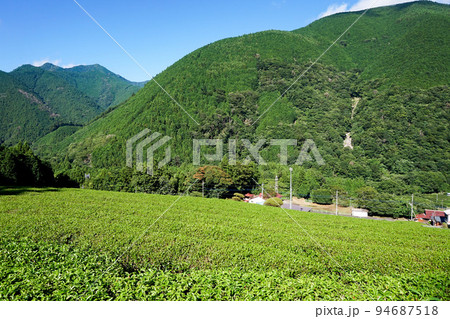 上佐野集落と茶畑(南部茶産地)【山梨県南部町】 上佐野集落と茶畑(南部茶産地)【山梨県南部町】 94687518