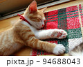 出窓で日光をあびながら眠る茶白の子猫 94688043
