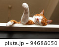 テーブルの上で片手を出して眠る茶白の猫 94688050