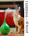 スチーム式加湿器の蒸気を不思議そうに見つめる茶白の猫 94688051
