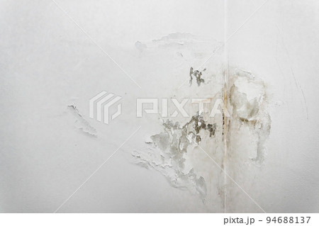 Mold fungus on ceiling 94688137