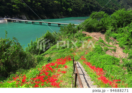 【高知県】晴天の岩間沈下橋（四万十川） 94688271