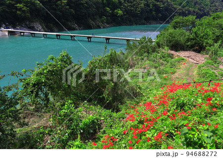 【高知県】晴天の岩間沈下橋（四万十川） 94688272