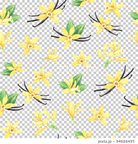 Watercolor yellow vanilla flowers, dried sticks and green leaves in seamless pattern. Background of blooming orchids. Hand drawn perfume ingredient for recipe, label, packaging design. 94688495
