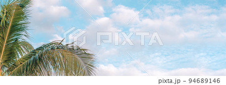 BANNER, LONG FORMAT Atmosphere panorama white cloud sky alone tropical palm tree background summer 94689146