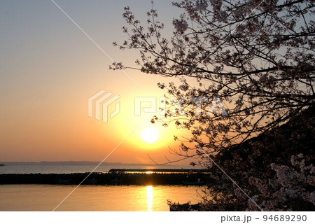 漁港の桜と夕焼け　糸島の風景 94689290