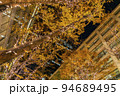 【東京都】輝く街路樹が美しい丸の内のイルミネーション 94689495